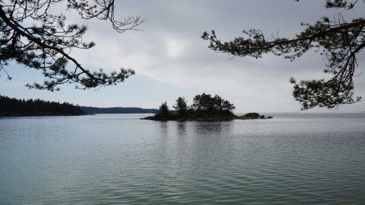 Ein kleiner Trampelpfad beim Rastplatz Koviken führt zum Wasser, von wo man den Blick auf den See und eine Insel hat.