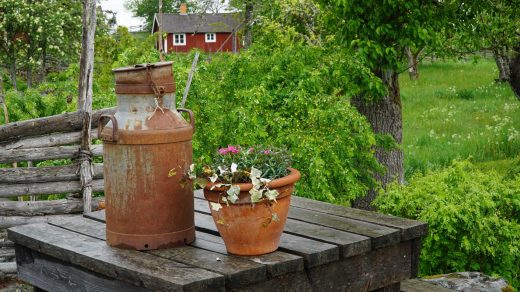 Auf einem Holztisch stehen eine verrostete Milchkanne und ein Blumentopf aus Ton.