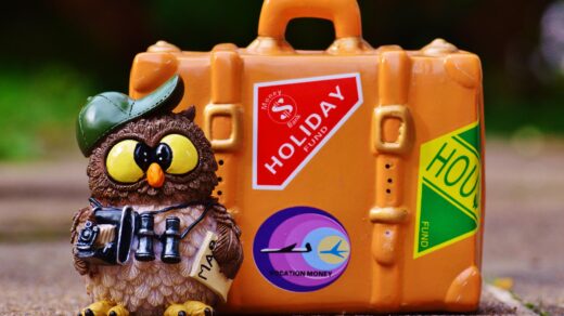 Eule mit Fernglas und Stadtplan steht vor einem Koffer - Bereit für den Städtetrip